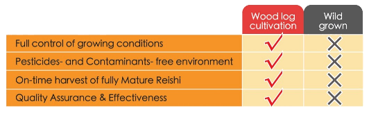 reishi comparison table